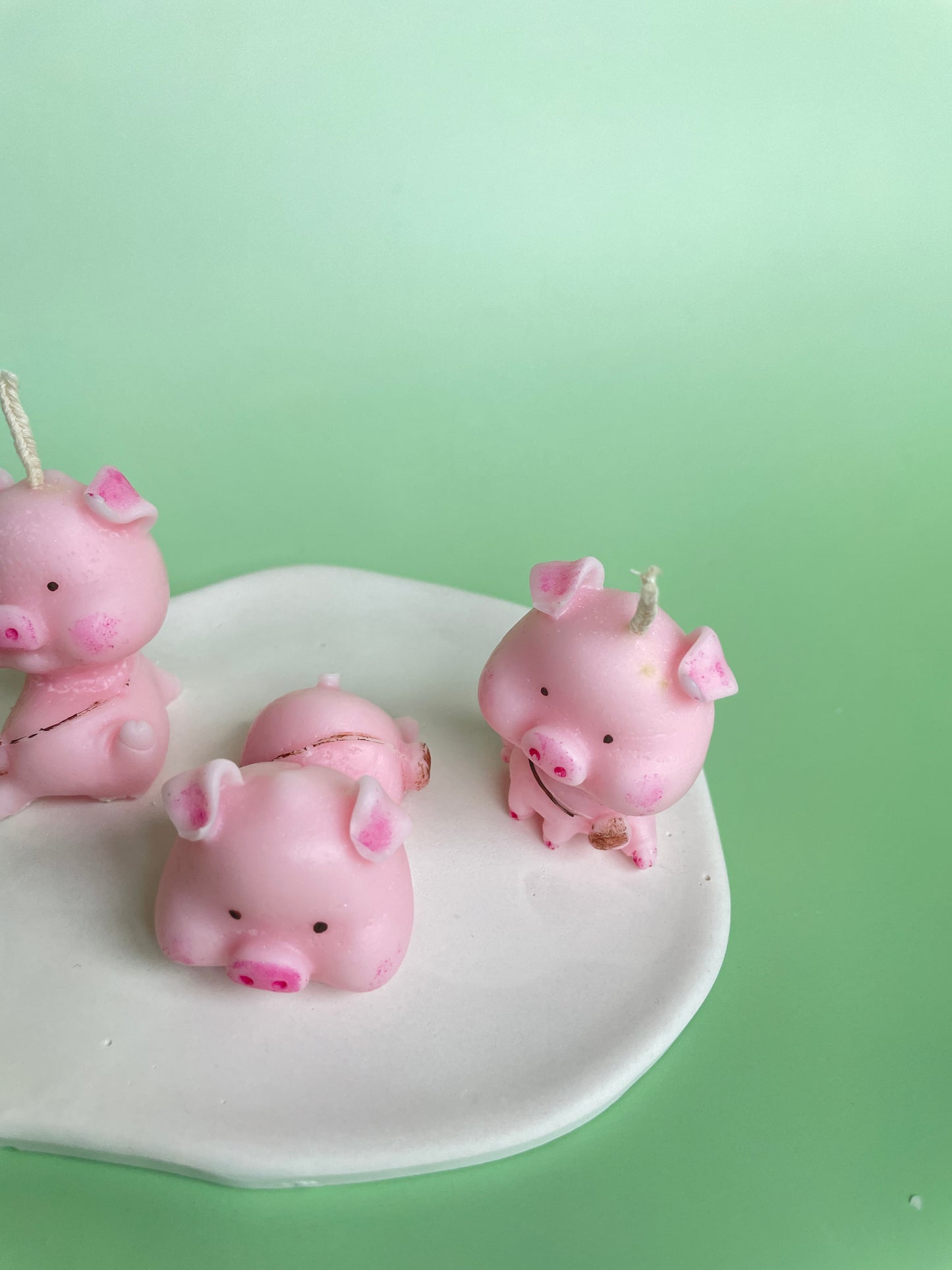 Pig family