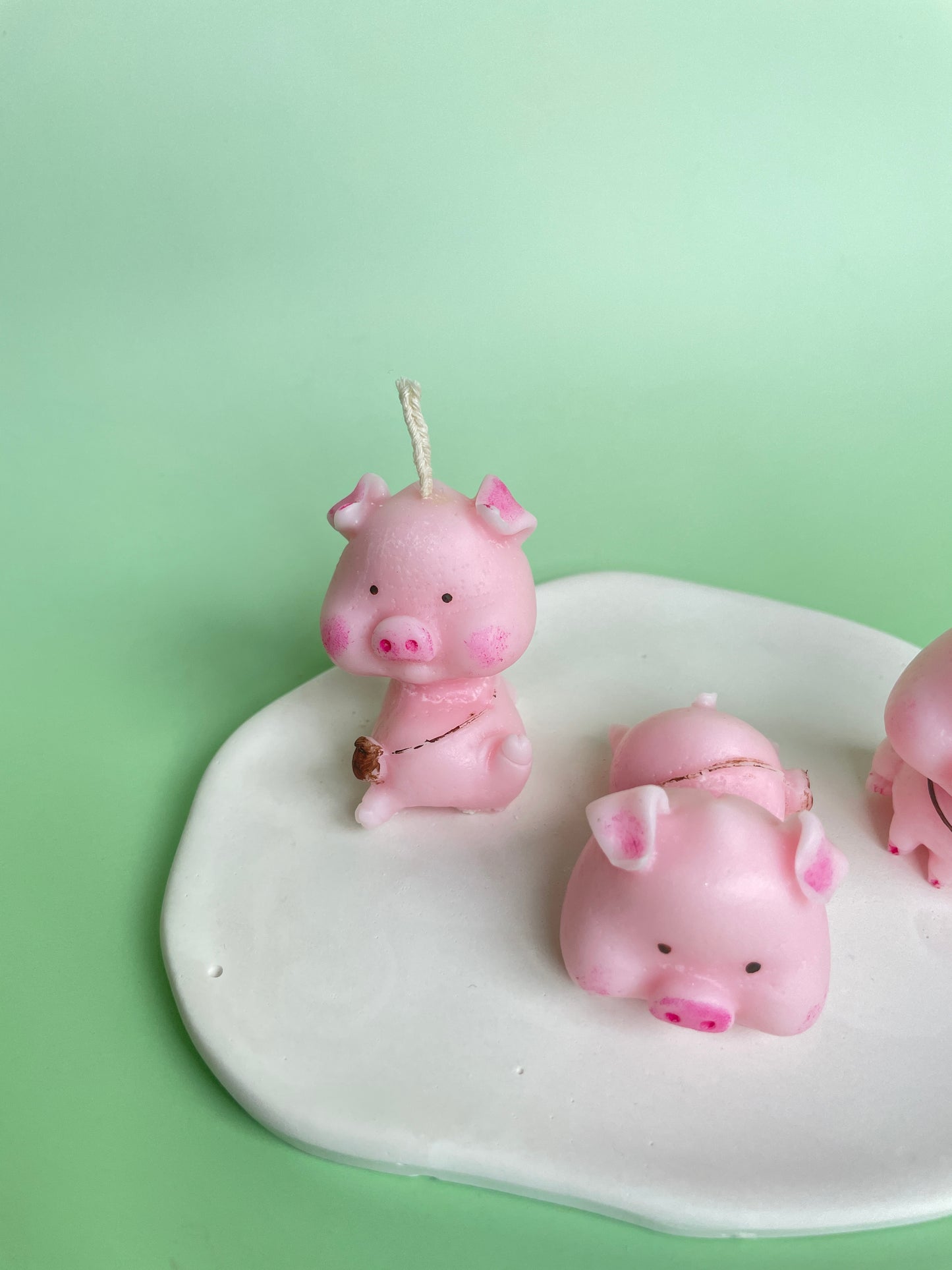 Pig family