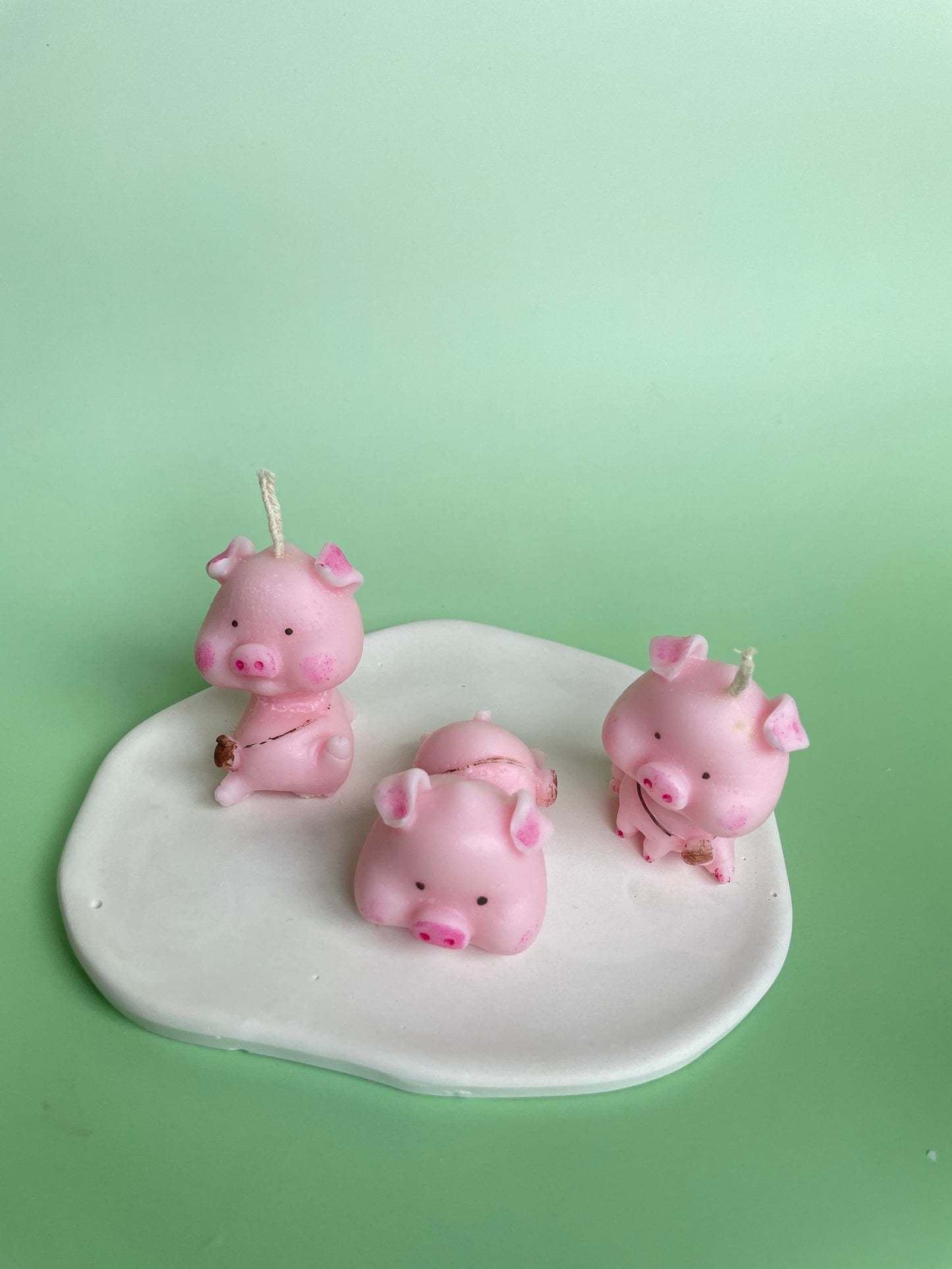 Pig family
