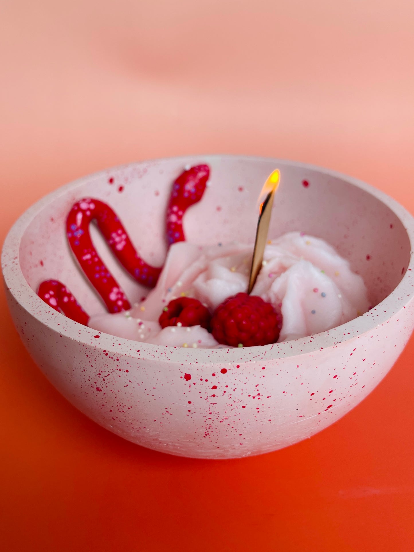 WILD COMPANIONS- Snake&Fruit Sundae Candle Bowl