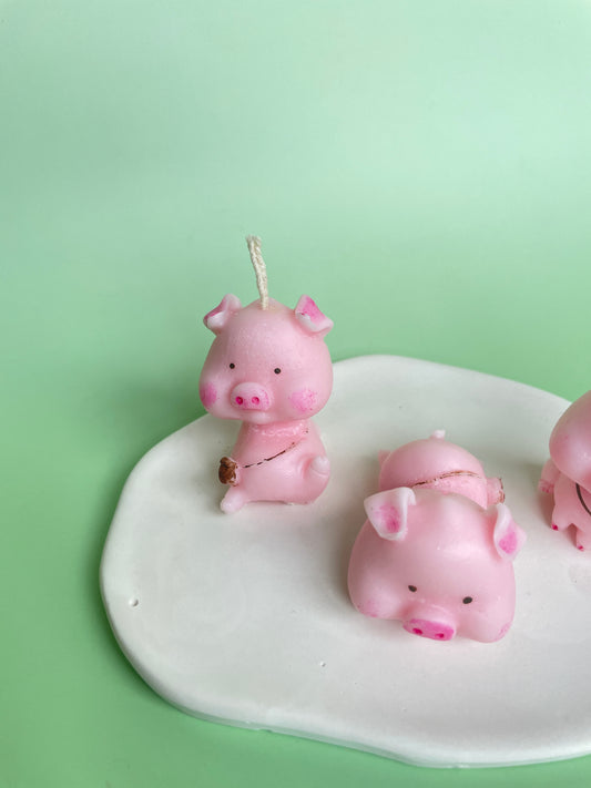 Pig family