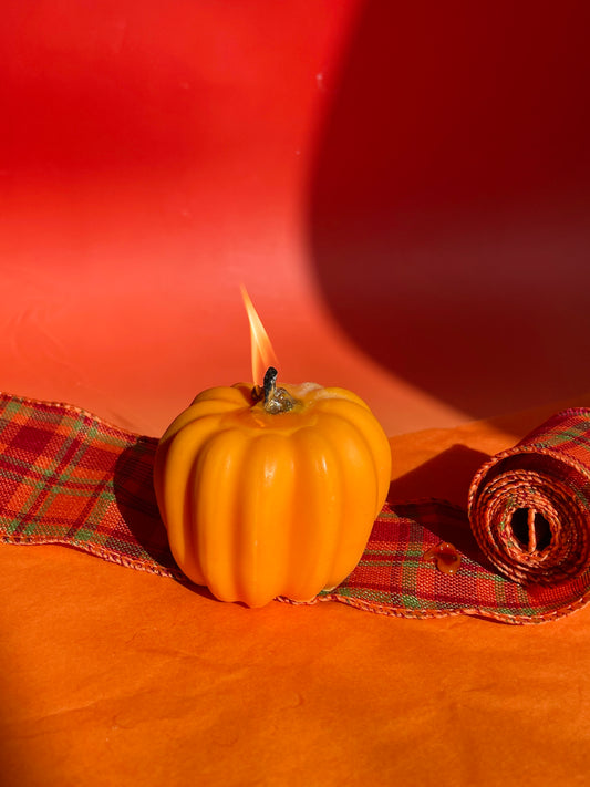 Pumpkin(big)